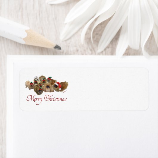 Pekingese Group Kerstmis Etiket (Insitu)