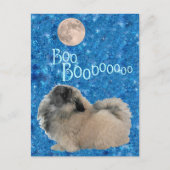 Pekingese Halloween Briefkaart (Voorkant)