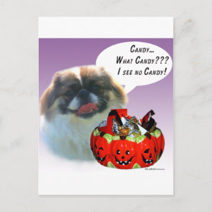 Pekingese Halloween Snoep Briefkaart