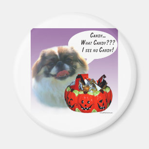 Pekingese Halloween Snoep Magneet