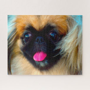 Pekingese hond. legpuzzel
