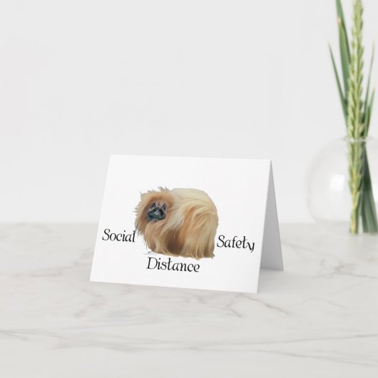 Pekingese Hond Notities (Voorkant)