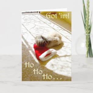 Pekingese Kerstkaart Feestdagen Kaart