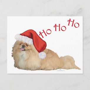 Pekingese Kerstman Feestdagenkaart