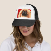 Pekingese kleurenblok trucker pet (In situ)