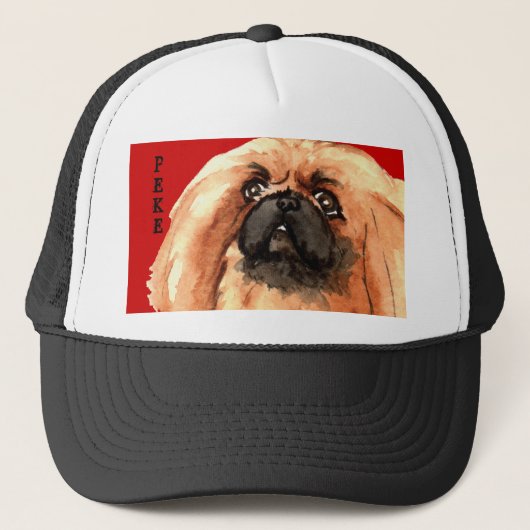 Pekingese kleurenblok trucker pet (Voorkant)