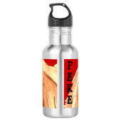 Pekingese kleurenblok waterfles  (Achterkant)