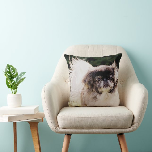 Pekingese kussen (Stoel)