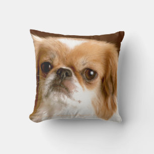 Pekingese Kussen