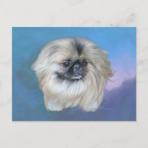 Pekingese lelie op blauwe achtergrond briefkaart