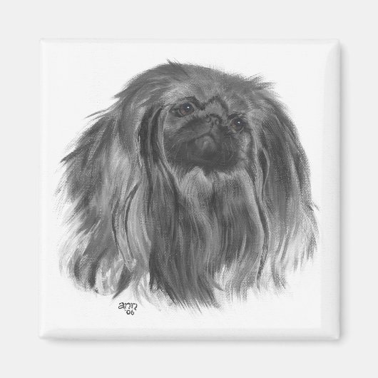 Pekingese magneet (Voorkant)