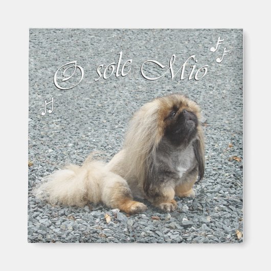 Pekingese magneet (Voorkant)