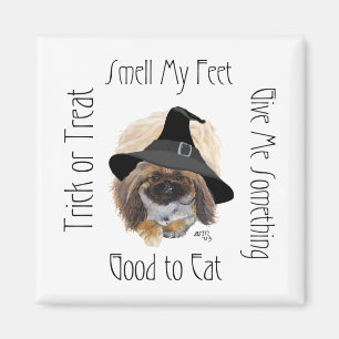 Pekingese magneet