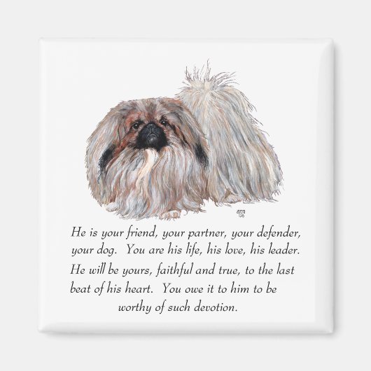 Pekingese magneet (Voorkant)
