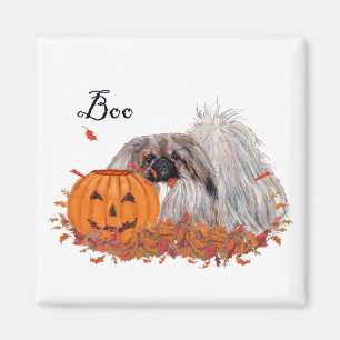 Pekingese magneet