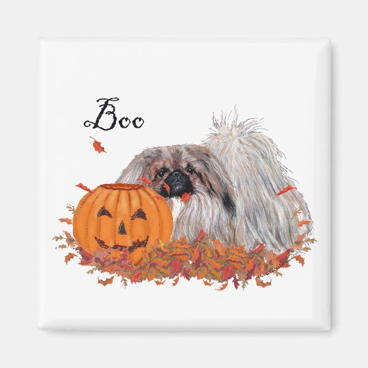 Pekingese magneet (Voorkant)