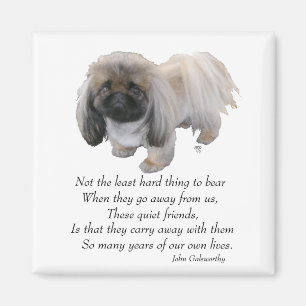 Pekingese magneet