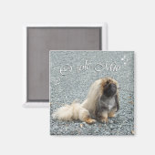 Pekingese Magnet (Recto/Verso)