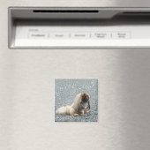 Pekingese Magnet (In Situ (Lave-vaisselle))