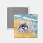 Pekingese Magnet (Recto/Verso)