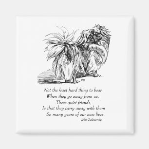 Pekingese Magnet Magneet