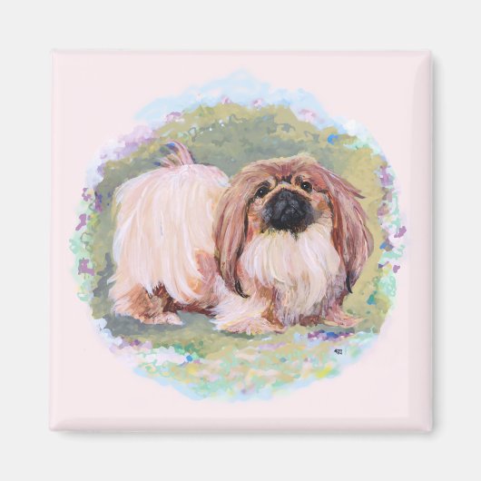 Pekingese Magnet Magneet (Voorkant)
