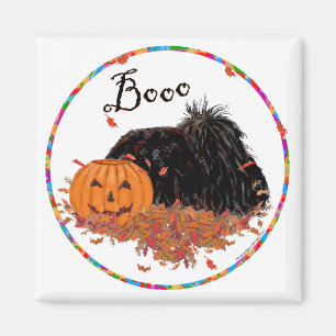 Pekingese Magnet Magneet