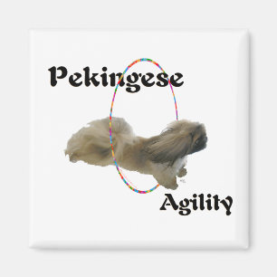 Pekingese Magnet Magneet