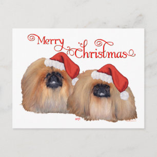 Pekingese Merry Kerstmis Feestdagenkaart