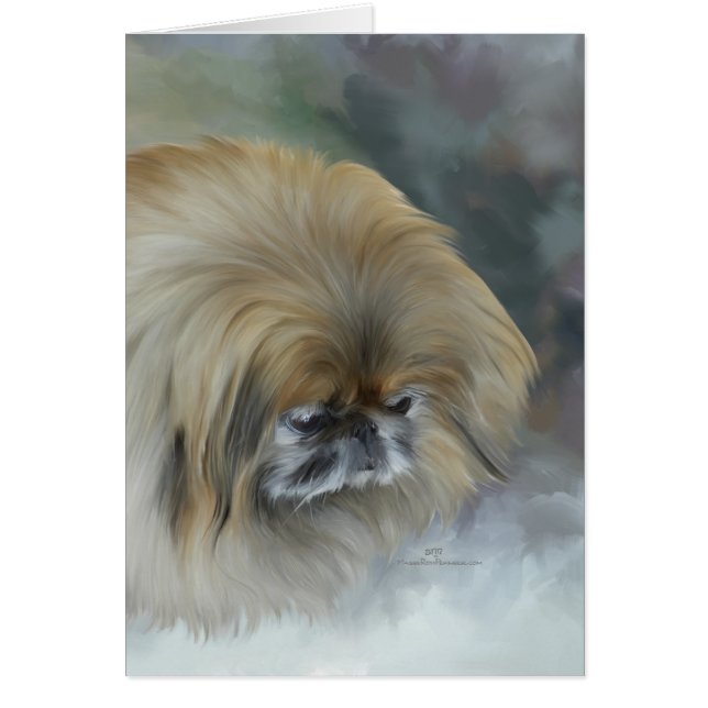 Pekingese pensif (Devant)