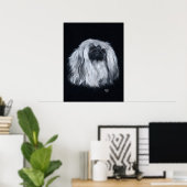 Pekingese portret in zwart-wit poster (Thuiskantoor)
