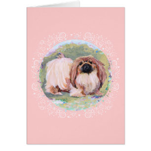 Pekingese Pretty en rose