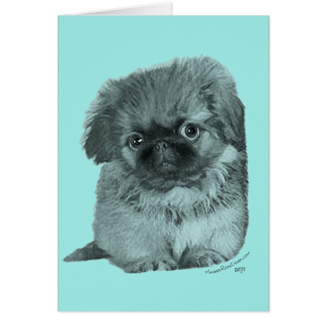 Pekingese Puppy (Voorkant)