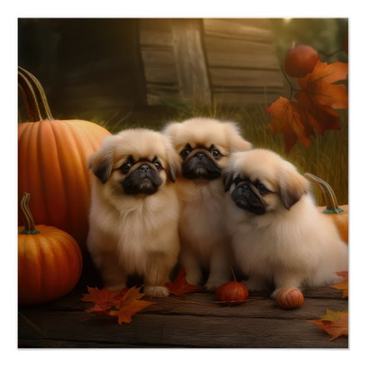 Pekingese Puppy Herfst Verrukking Pompoen Perfect Poster (Voorkant)