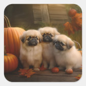 Pekingese Puppy Herfst Verrukking Pompoen Vierkante Sticker (Voorkant)