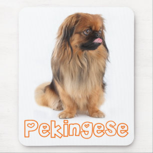 Pekingese Puppy Hond Muismatje Muismat