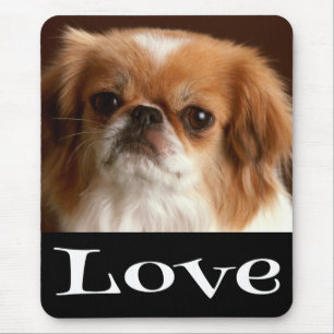 Pekingese Puppy Hond Muismatje Muismat