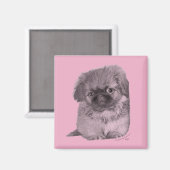 Pekingese Puppy in Roze Magneet (Voorkant / Achterkant)