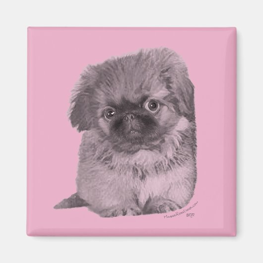 Pekingese Puppy in Roze Magneet (Voorkant)