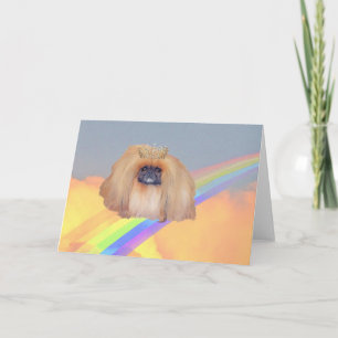 Pekingese regenboog kaart