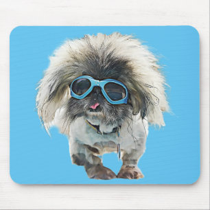Pekingese Rockstar Mongo Muismat