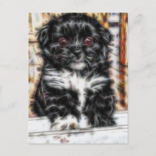Pekingese schattige hond briefkaart (Voorkant)