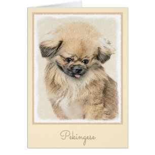 Pekingese schildering - Kute Original Dog Art