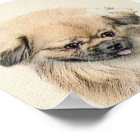 Pekingese schildering - Kute Original Dog Art Poster (Hoek)
