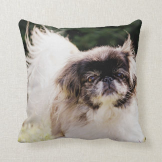 Pekingese Sierkussen