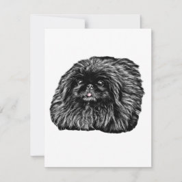 Pekingese Stationery - blanco kaart "Fuzz" Notitiekaartje