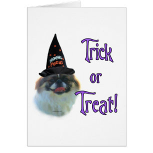 pekingese truc