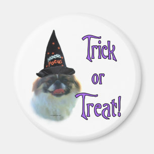 pekingese truc magneet
