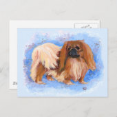 Pekingese True Blue Briefkaart (Voorkant / Achterkant)