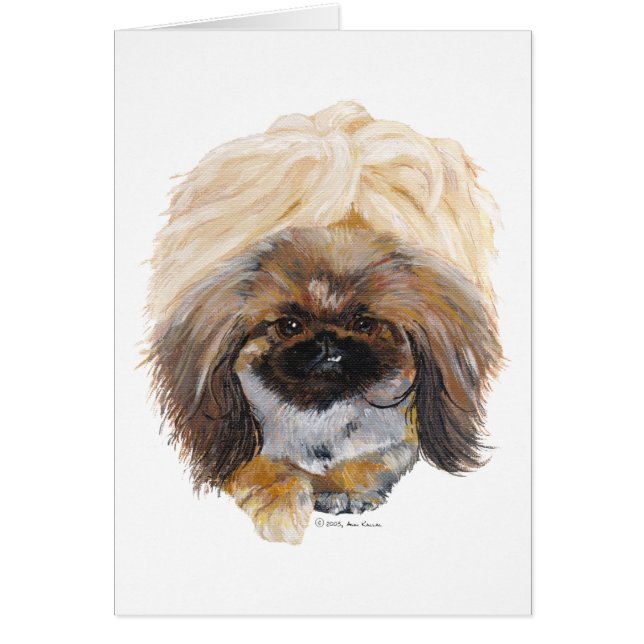 Pekingese Tuffy (Devant)